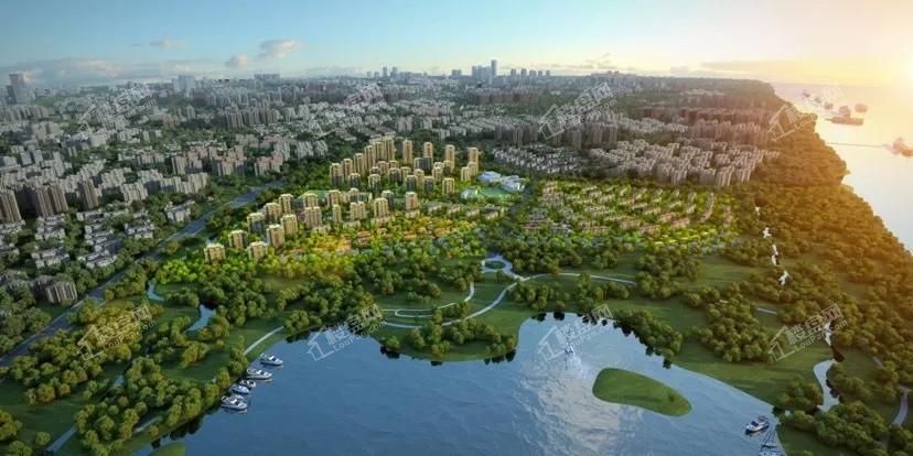 ��������뵺